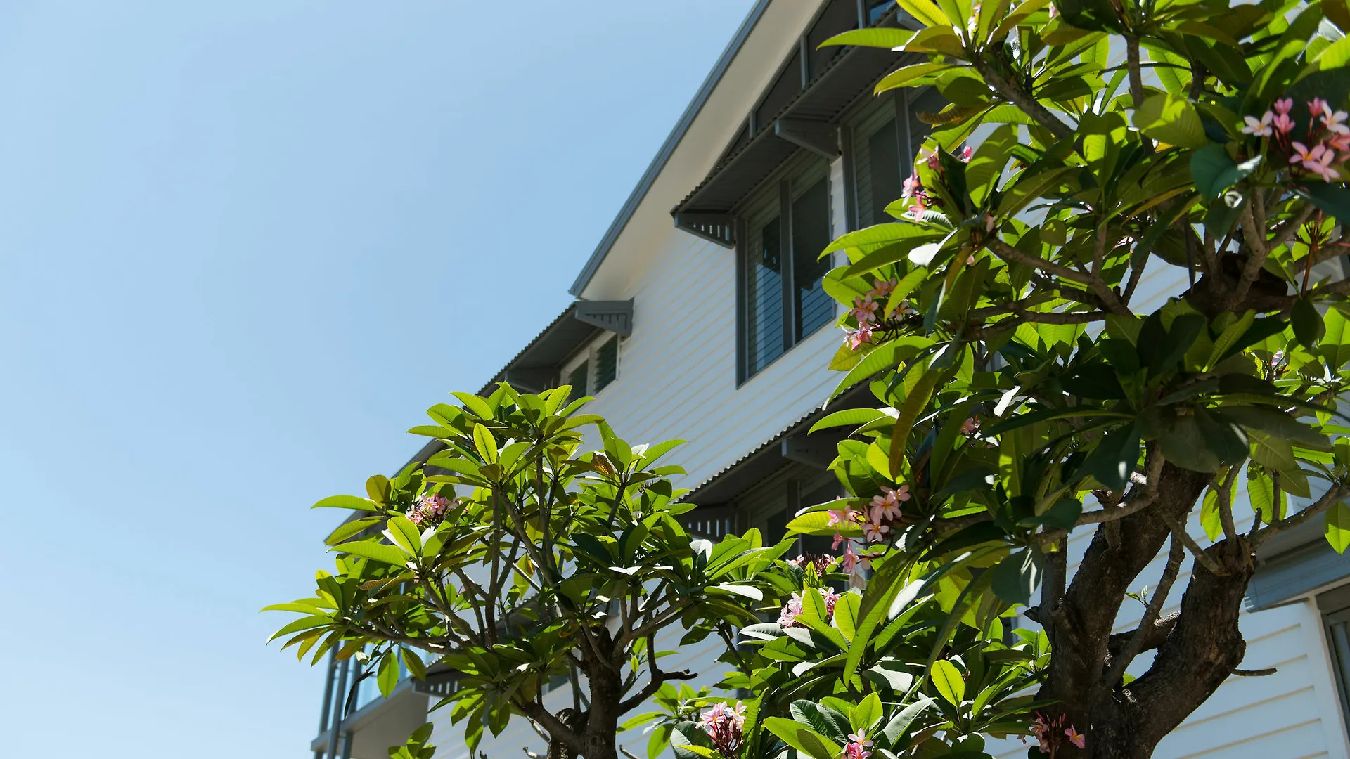 Heart Hotel And Gallery Whitsundays Airlie Beach