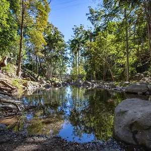 Cedar Creek **** Gold Coast